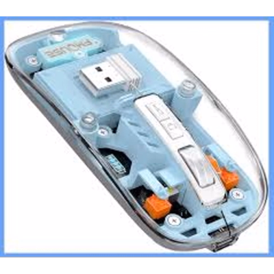 Beautiful Transparent Wireless Mouse, Dual Bluetooth & 2.4GHz for Multi Device